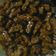 Cooksnap dari dhian untuk resep Orek tempe