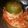 El cooksnap de Cintia Dominguez cuando hizo Zapallitos Verdes Rellenos En salsa de tomate.