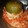 El cooksnap de Cintia Dominguez cuando hizo Zapallitos Verdes Rellenos En salsa de tomate.