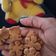 Rita Solanki's cooksnap of when they made પીનટ બટર કુકીઝ (Peanut Butter Cookies Recipe In Gujarati).