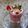 Varsha Narayankar's cooksnap of when they made Strawberry milkshake.