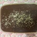 Cooksnap dari Nur Abfifa Nugraini untuk resep Puding Brownies