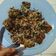 Cooksnap dari Elang Puspita Sari untuk resep Banana nuget #bikinramadanberkesan