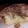 El cooksnap de di cuando hizo Torta de yogur de frutilla (o del sabor que prefieran).