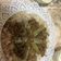 صورة من shorouq fahhad، شاركها بعد تجربة وصفة كوسا باللبن مع اللحمة أبلما او شيخ المحشي ☺😋😋