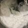 Cooksnap dari linda untuk resep Bubur sum-sum