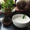 Cooksnap dari Budi Hartanti untuk resep Bubur Sumsum Lembut