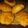 El cooksnap de Maria Sofia Ariztegui Aguiar cuando hizo Scones de queso.