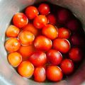 Priyanka Shrivastava का कुकस्नैप जब उन्होंने गुलाबजामुन (Gulabjamun recipe in Hindi) बनाया था।