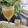 Bhumi Parikh's cooksnap of when they made દ્રાક્ષનો જ્યુસ (Grapes Juice Recipe In Gujarati).