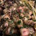 Cooksnap dari Cooking with Ay untuk resep Baby cumi asin cabe hijau