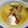 Cooksnap dari Edwin Syahrudin untuk resep Gulai Ceker