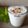 Jasmin Motta _ #BeingMotta का कुकस्नैप जब उन्होंने लस्सी (lassi recipe in Hindi) बनाया था।