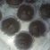 Cooksnap dari ummuhammadian@gmail.com untuk resep Kue coklat #vegan dengan ampas tahu (Okara)
