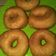Cooksnap dari Nema Subhanida untuk resep Donat kampung ala Donat jco