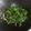 Cooksnap dari meme untuk resep Tumis Sawi Hijau Butter Garlic