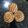 Cooksnap dari Sutini Chin untuk resep Spongecheese Cupcake