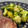 Liam's cooksnap of when they made Pan-fried Garlic Chilli Broccoli.