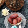 Kavita Goel का कुकस्नैप जब उन्होंने बेसन और आटे की खस्ता मठरी (Crispy Mathri of ग्राम flour and flour) बनाया था।