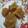 Sabari Dhar का कुकस्नैप जब उन्होंने सूजी आटा हलवा(suji aata halwa recipe in hindi) बनाया था।