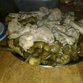 صورة من ضياء ، شاركها بعد تجربة وصفة محشي ورق عنب باللحم المفروم