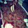 صورة من Chef. Om Weaam، شاركها بعد تجربة وصفة حلو بارد وسريع...