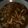 Cooksnap dari Asri Agustina untuk resep Cumi saus tiram