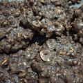 Cooksnap dari hajeriani untuk resep Kue Bengbeng