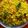 Vanika Agrawal's cooksnap of when they made Kanda poha.