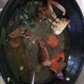 Cooksnap dari Raihal Fajri untuk resep Sup Kepiting Rajungan