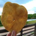 El cooksnap de Carolina CASTRO cuando hizo Tortas fritas rápidas, fáciles y ricas !.