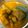 Cooksnap Alya Yasmin semasa beliau membuat Ayam Masak Lemak Cili Padi Nogori.