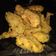Cooksnap dari nova dara untuk resep Ayam Kentucky/krispi