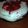 El cooksnap de LORENA cuando hizo Pavlova con frutos rojos.