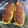 El cooksnap de Marijose cuando hizo Calabacín relleno de carne picada.
