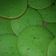 Cooksnap dari Nabila Alya R untuk resep Bolu Pandan Lembut (Panggang Cetakan Kue Lumpur)