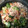 El cooksnap de kukiaroca cuando hizo Brócoli con tofu y zanahoria.