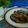 Cooksnap dari Iin Prodia untuk resep Ayam kecap pedas manis