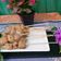 Cooksnap dari Dwiyani setiowati untuk resep Sate ayam Frozen