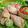 Cooksnap dari pawone_ ibuh untuk resep Ayam pop