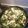 El cooksnap de Katherine Ovalle cuando hizo Torta de espinaca con champiñones.