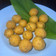 Cooksnap dari shellen frawinda untuk resep Sala Lauak