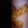 Erica Commons's cooksnap of when they made Dads Onion Rings.
