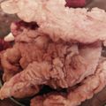 Cooksnap dari ferlina rahma dewi untuk resep Fillet dada ayam crispy