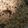 Saba Butt's cooksnap of when they made Kalay chana pulao #CookpadApp.