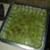 Cooksnap dari hani andriyanto untuk resep Puding Roti Tawar Pandan