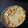 sreya dey's cooksnap of when they made সেমাই এর পায়েস (semai er payesh recipe in Bengali).