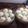 胡玉蓮's cooksnap of when they made 小孩特愛版小籠包(發麵團).
