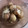 El cooksnap de Eduardo Agudo Alba cuando hizo Gnocchi con aceitunas rellenas en salsa de limón y anchoas.