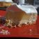 El cooksnap de CR4ZY SM1L3 cuando hizo Tarta de Lemon pie.
